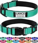 Joytale Personalized Dog Collars, Reflective Nylon Dog Collar with Engraved Name Plate, Customized for Large Dogs, Teal, L