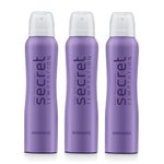 Secret Temptation Romance Deodorant Spray Combo For Women, Pack Of 3 (150Ml Each)