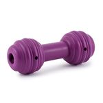 PetSafe Busy Buddy Chuckle, Interactive Treat Dispensing Dog Toy, Chew Toy with Engaging Noise, purple