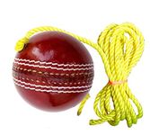 Toyshine Cricket Hanging Ball For Shot Practice, (Leather, Sstp, Red)