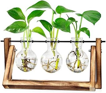 LESES Floreros de cristal, plantas de aire, terrario, cebolla, con columpio, de madera, estación de propagación para hidropónico, plantas, oficina, casa, jardín, 3 jarrones de cebolla