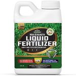 Zoysia Grass Fertilizer