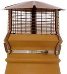 Brewer Birdguard Chimney Cowl - Gas