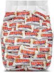 PayDay Fun Size Candy Bars - 40 Ind