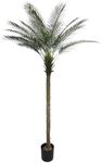 Artificial Palm Tree 6FT Large Fake Sago Palm Plant with 18 Trunks Leaves Perfect Tall Faux Tree in Pot for Indoor Outdoor Home Office Garden Modern Decor Housewarming(1 Pack)