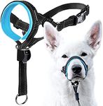 GoodBoy Dog Head Halter with Safety