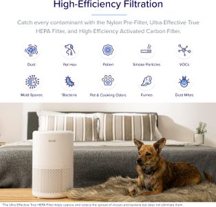 LEVOIT Smart HEPA Air Purifier – WiFi Enabled, Home Allergen Filter