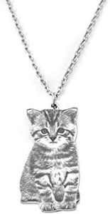 Collar personalizado con foto para mascotas/gatos/perros, colgante de plata con cadena, imagen personalizada para mujeres(Plata 16"(40cm)-Young Adult)