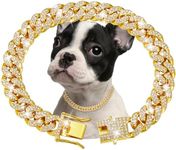 Gold Dog C