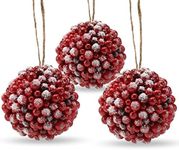 Ornativity Frosted Red Berries Ornaments - Glittered White Snowflakes on Realistic Red Cranberry Berries Ball Xmas Ornament with Rustic Twine String Christmas Tree Decoration Set - 2.4" Pack of 12