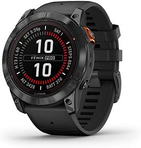 Garmin fēn