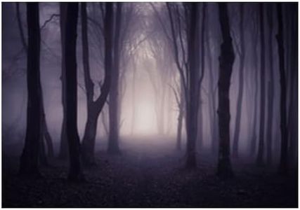 Allenjoy 7x5ft Misty Dark Forest Woods Halloween Backdrop for Photography Gloomy Grove Mystery Background for Portrait Magic Witch Wizard Sorcerer Ghost Themed Party Banner Decors Photo Props