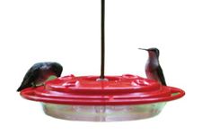 Birds Choice 8oz. Hummingbird Feeder