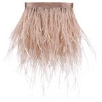 AMZTKDIY Ostrich Feathers Sewing Fringe Trim Ribbon for Crafts Clothes Accessories Latin Wedding Dress DIY 2 Yards 4-6inch Width (2 Yards, Champagne)