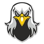 2 x 10cm Eagle Vinyl Sticker Laptop Tablet Car Bike Helmet Bird USA German #6127 (9cm Wide x 10cm Tall)