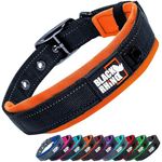 Black Rhino - The Comfort Collar Ultra Soft Neoprene Padded Dog Collar for All Breeds, Dog Collars for Large Dogs - Heavy Duty Adjustable Reflective Weatherproof (XLarge, Orange/Bl)