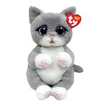 TY Morgan Cat Beanie Bellie Regular 6" | Beanie Baby Soft Plush Toy | Collectible Cuddly Stuffed Teddy