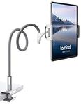 Lamicall Gooseneck Tablet Holder, Universal Tablet Stand - 360 Flexible Lazy Arm Holder Clamp Mount Bracket Bed for 4.7~13" iPad Air Pro mini, Samsung Tab, iPhone, Switch, more Devices - Gray