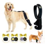 Dog Knee Brace For Support With Cruciate Ligament Injury, Joint Pain And Muscle Sore, Better Recovery With Dog ACL Knee Brace, Adjustable Leg Brace For Dogs with attachable hot and cold pad(L)