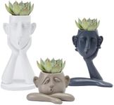 GUTE Human Face Shaped Succulent & Flower Planter Pots - Set of 3- Figurines for Garden - Indoor Outdoor Decorative Garden Figurines, Drainage Holes for Plants Artistic - White, Khaki, Grey