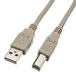 CableWholesale 10-Feet USB Type A Male/Type B Male, 2.0 Version Cable (10U2-02210)