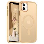 BENTOBEN Case for iPhone 11 Case,[Compatible with MagSafe] Slim Translucent Matte Magnetic Shockproof Protective Anti Slip Women Men Phone Case for iPhone 11 6.1", Light Gold