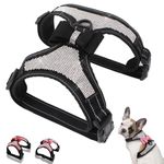 Black Diamond Child Harnesses