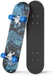 Rude Boyz Kids Beginner Skateboard 