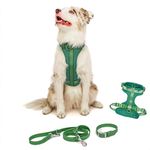 BearBone No Pull Dog Harness Set with Dog Collar and Leash Set | Dog Accessories Kit with Leash and Collar | Dog Harnesses for Large Dogs (Large, Green)