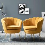 Nature Wood Decor Tufted Barrel Chair (Set of 2) Fabric Velvet Accent Chair for Living Room, Drawing Room, Bedroom & Office (Design D)