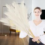 Lighterday 6 Pcs Pampas Grass Artif