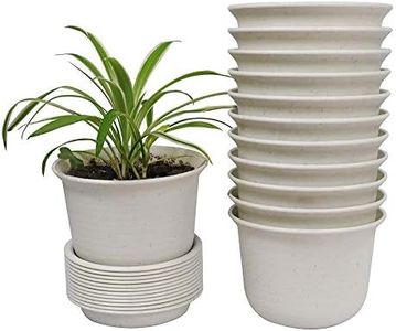 Plant Pots