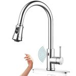 Motion Sensor Kitchen Faucet