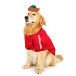 PETLESO Dog Sweater for Large Dog, Warm Cotton Hoodie Sweatshirt for Medium Large Dogs, Red 6XL