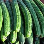 Cucumber Seeds - Greenhouse Long Bu
