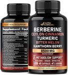 Berberine with Ceylon Cinnamon 10000 mg with Apple Cider Vinegar | Hawthorn Berry | Citrus Bergamot | Bitter Melon - 14-in-1 Supplement for Heart Support, Metabolism & Energy - Vegan, 60 Capsules