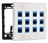 DIYTECH Ethernet Wall Plate - 12 Port RJ45 Cat6 Ethernet Wall Outlet, Female to Female Cat6 Wall Jack Keystone, Ethernet Plug in Wall Outlet, for Network Outlet Setup - White