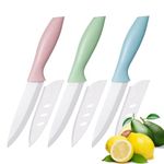 Zhiyun 3 PCS Ceramic Knives, Paring Knife,4 Inch Zirconia Blade with Sheath,Colorful Knife use for Meat Fruit Vegetable and Bread (Green Blue and Pink)