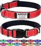 Joytale Personalized Dog Collars, R