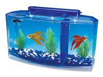 Penn-Plax Deluxe Triple Betta Bow Aquarium Tank - Includes Under Gravel Filter & Plastic Plants - 0.7 Gallon