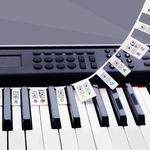 LeSage Removable Piano Key Stickers Note Labels for 61 Key Silicone Reusable Piano Keyboard Stickers for Beginners (Silicone-color-61key)