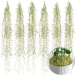 SEEKO Succulents Extra Large Spanish Moss (6pck, 6oz, 33" Long) - Fake Moss for Crafts