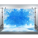 EOA 7x5ft Winter Backdrop Ice and Snow White World Photography Background Christmas Winter Frozen Snow Ice Crystal Pendant World Backdrops for Children Photo Studio Props Backdrop