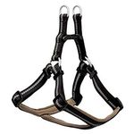 Terrain D.O.G. Reflective Neoprene Lined Harness