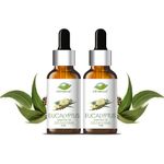 Farm Blends Eucalyptus Essential Oil 100% Undiluted Pure | Steam Inhalation, Cough Relief, Relaxes Muscle, Anti Dandruff, Diffuser | Farm To Home | Natural Nilgiri Oil | Eucalyptus globulus|15ML + 15ML (Pack of 2)