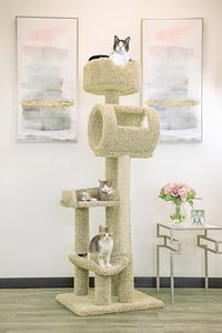 New Cat Co