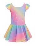 Arshiner Ballet Leotards for Girls Ballet Leotard with Shinny Skirts Toddler Flutter Sleeve Dance Dress Rainbow Star 2-3T