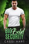 Big Bold Security (Big Alpha's Book 3)