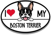 Magnet Me Up I Love My Boston Terrier Dog Breed Car Magnet Decal, 4x6 Inches Oval, Adorable Decoration for Vehicle, Fridge, and More! Cute Peeking Dog, Breed Lovers Bumper Magnet, Made in USA