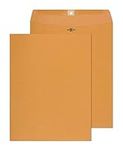 Clasp Envelopes - 10x13 Inch Brown 